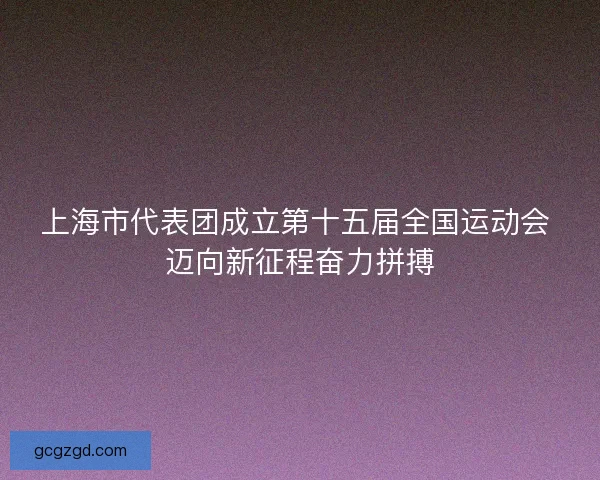 上海市代表团成立第十五届全国运动会 迈向新征程奋力拼搏